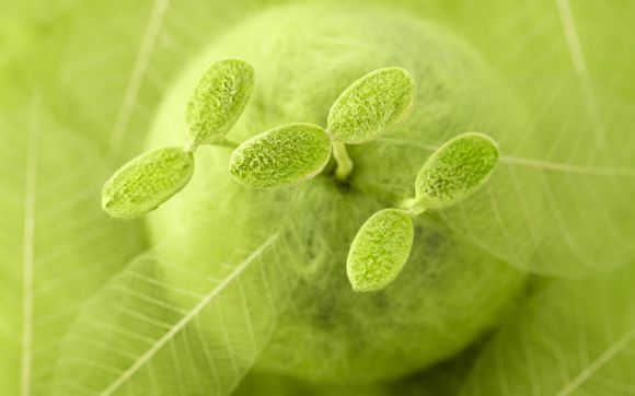 苏州东山集团怎么样