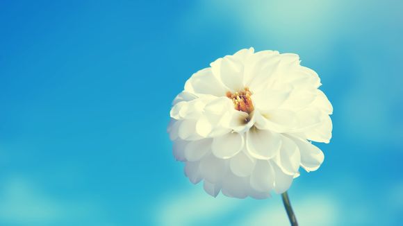 巴西里约热内卢旅游多少钱