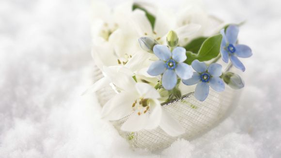 四个坚定二个维护