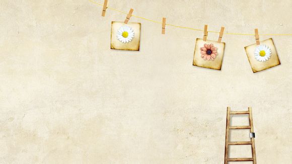 中国电信测速平台重庆