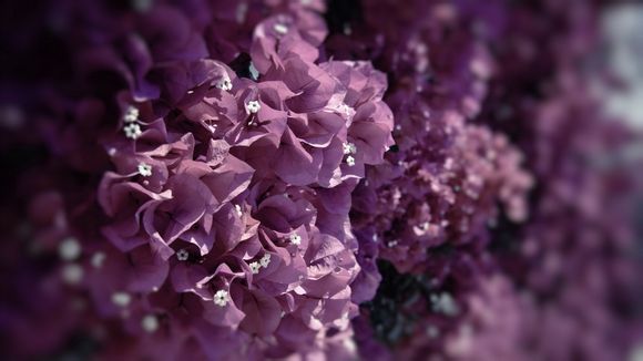 南宁万达广场