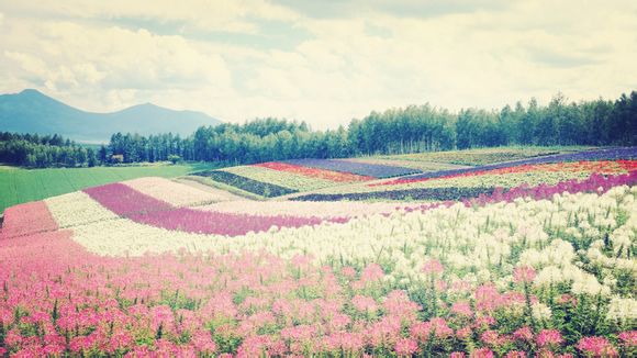 定州旅游必去十大景点