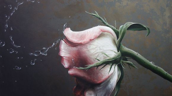 广州友谊商店积分卡查余额