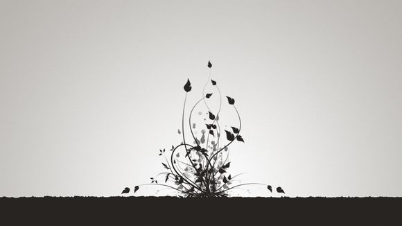 乡村最美的景色作文