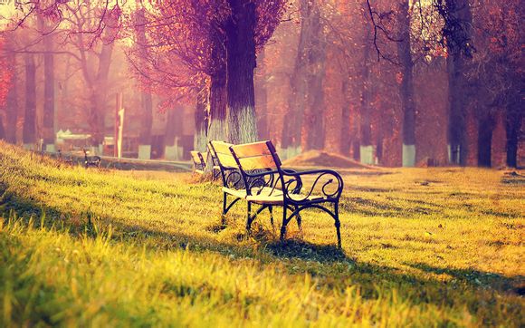 乡村最美的地方