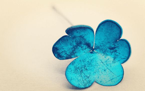 卧龙湖景区在哪里