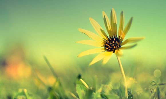 春节去泰国机票多少钱